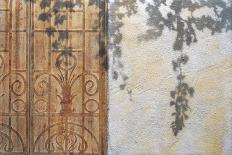 Rusty Door and Grapevine-Josep Cisquella-Art Print