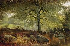 Deer in a Wood-Joseph Adam-Stretched Canvas