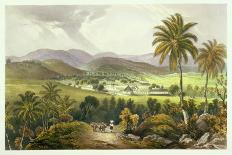 Cocoa Nut Walk on the Coast, Near Runaway Bay, Plate 15 from 'West Indian Scenery: Illustrations…-Joseph Bartholomew Kidd-Giclee Print