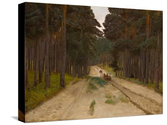 Stretched Canvas Print, , large