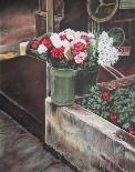 Flower Pot-Joseph Correale-Collectable Print