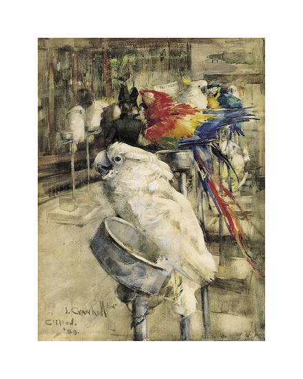 Premium Giclee Print, , large