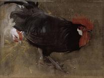 The Black Cock-Joseph Crawhall-Giclee Print