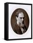 Joseph Dalton Hooker, English Botanist, C1880-Lock & Whitfield-Framed Stretched Canvas