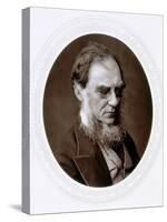 Joseph Dalton Hooker, English Botanist, C1880-Lock & Whitfield-Stretched Canvas