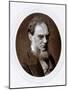 Joseph Dalton Hooker, English Botanist, C1880-Lock & Whitfield-Mounted Photographic Print