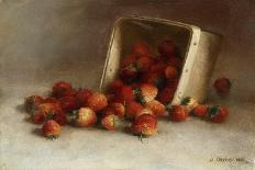 Still Life with Tin Can and Nuts, c.1886-Joseph Decker-Framed Giclee Print