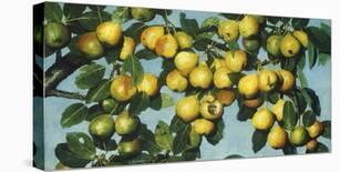 Green Plums, c.1885-Joseph Decker-Premium Giclee Print