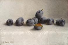 Ripening Pears, c.1884-1885-Joseph Decker-Stretched Canvas