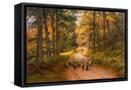 Canvas Black