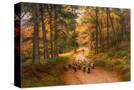 Stretched Canvas