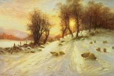 Sheep in a Winter Landscape, Evening-Joseph Farquharson-Giclee Print