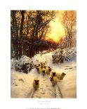 Sheep in Winter Snow-Joseph Farquharson-Giclee Print