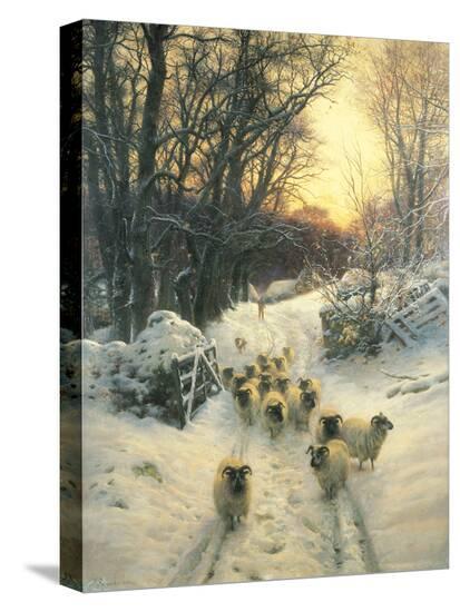 Stretched Canvas Print, , large