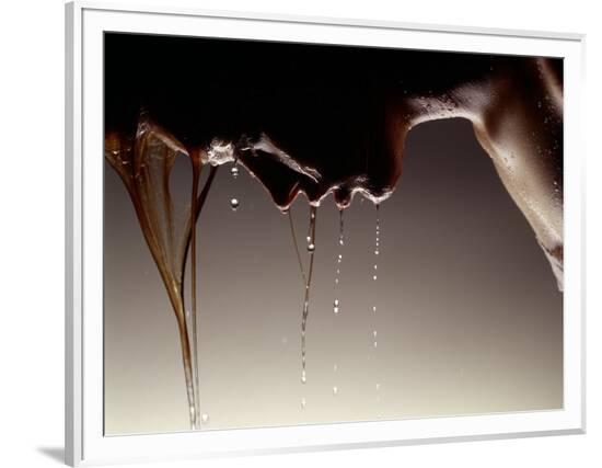 Framed Photographic Print, , large