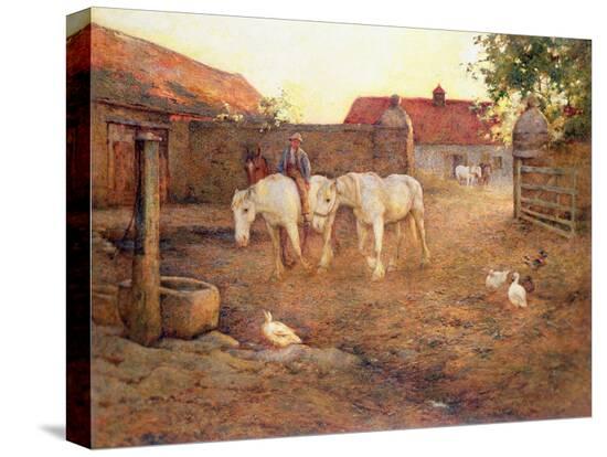 Stretched Canvas Print, , large