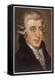 Joseph Haydn Austrian Musician and Composer-null-Framed Stretched Canvas