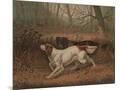 Wood Mount