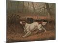 Wood Mount