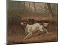 Wood Mount