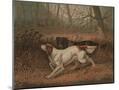 Wood Mount