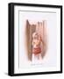 Joseph in the Pit-Henry Ryland-Framed Giclee Print