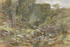 Larpool Beck, Whitby-Joseph John Jenkins-Framed Stretched Canvas