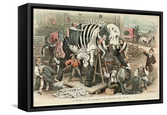 Stretched Canvas Print, , large