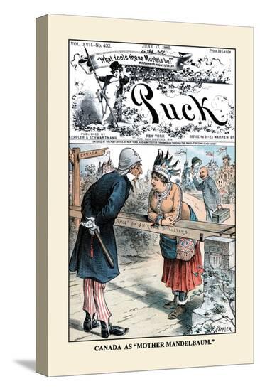 Stretched Canvas Print, , large