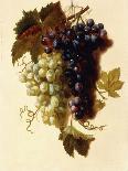 Bunches of Green and Red Grapes Suspended from a Rope, C.1796-Joseph-Laurent Malaine-Framed Premium Giclee Print