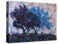 Stretched Canvas
