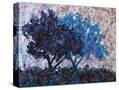 Stretched Canvas