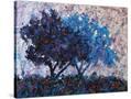 Stretched Canvas