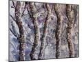 Wood Mount