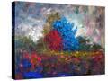 Stretched Canvas