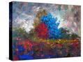 Stretched Canvas