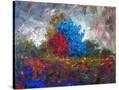 Stretched Canvas