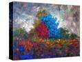 Stretched Canvas