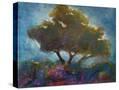 Stretched Canvas