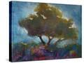 Stretched Canvas