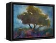 Canvas Black
