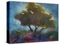 Stretched Canvas