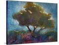 Stretched Canvas