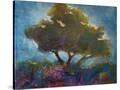 Stretched Canvas