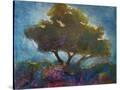 Stretched Canvas