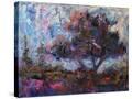 Stretched Canvas