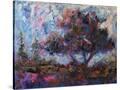 Stretched Canvas