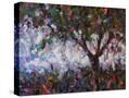Stretched Canvas