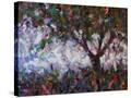 Stretched Canvas