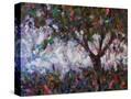 Stretched Canvas